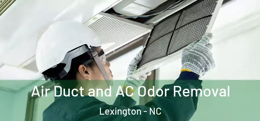 Air Duct and AC Odor Removal Lexington - NC