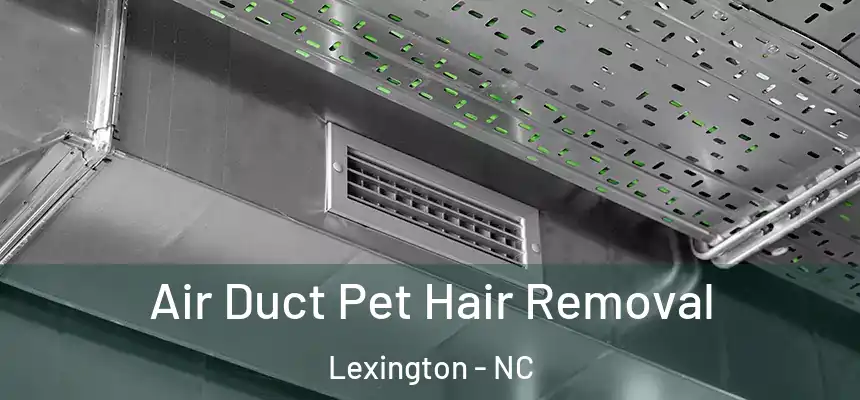 Air Duct Pet Hair Removal Lexington - NC