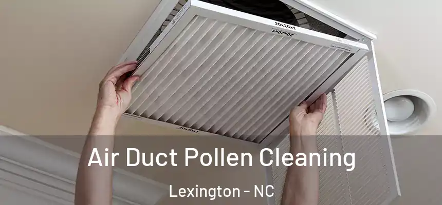 Air Duct Pollen Cleaning Lexington - NC