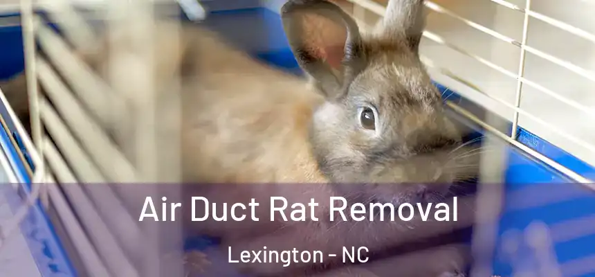  Air Duct Rat Removal Lexington - NC