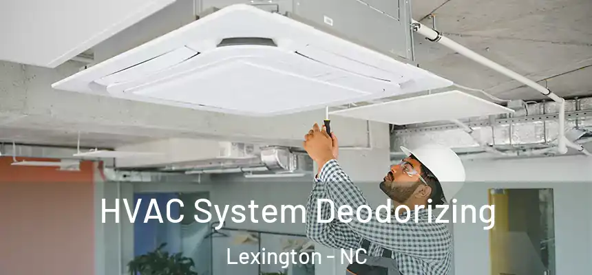 HVAC System Deodorizing Lexington - NC