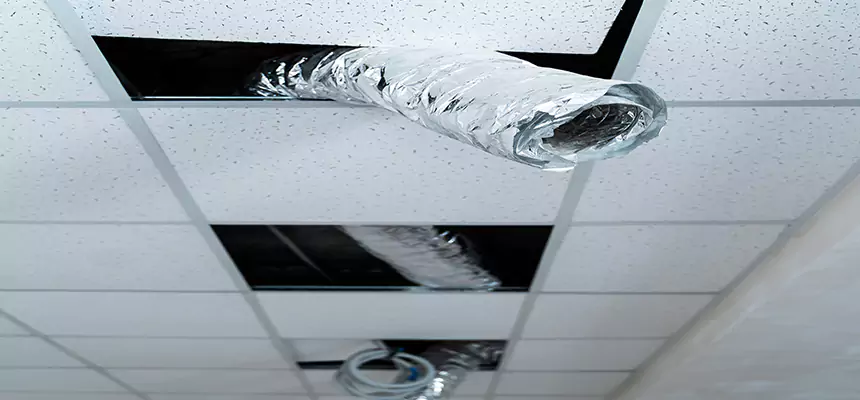 Affordable HVAC Sanitizing After Pest Removal in Lexington