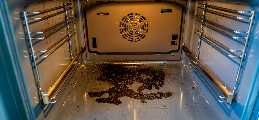 Our Dryer Vent Mold Cleaning Services in Lexington, NC