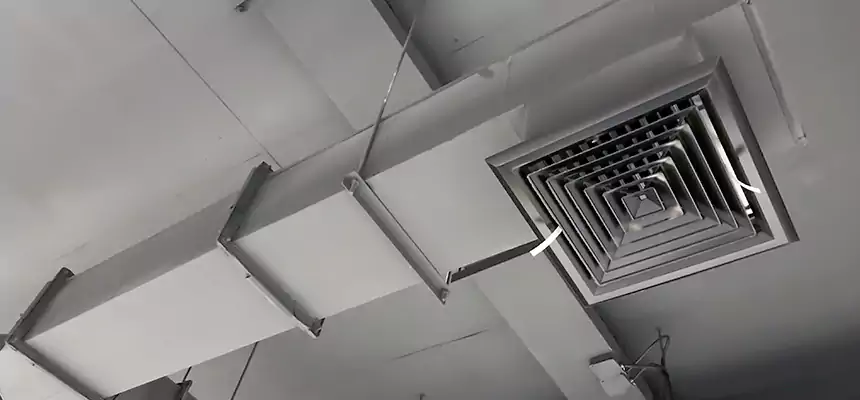 Our Rodent Droppings In Vents Services in Lexington, NC