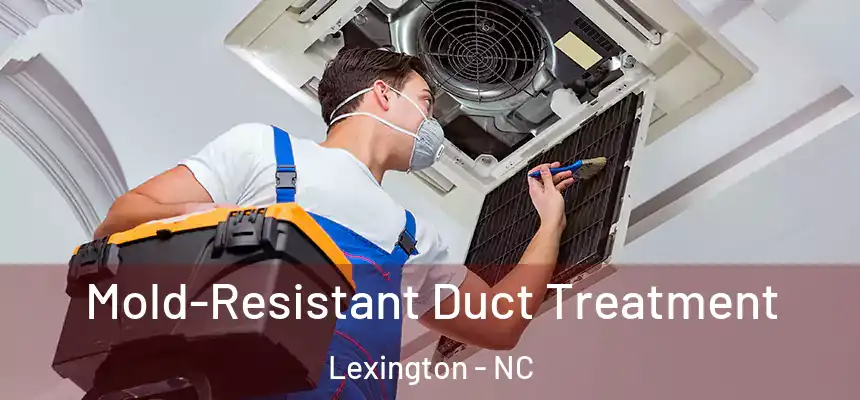  Mold-Resistant Duct Treatment Lexington - NC