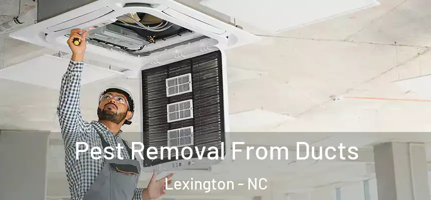 Pest Removal From Ducts Lexington - NC