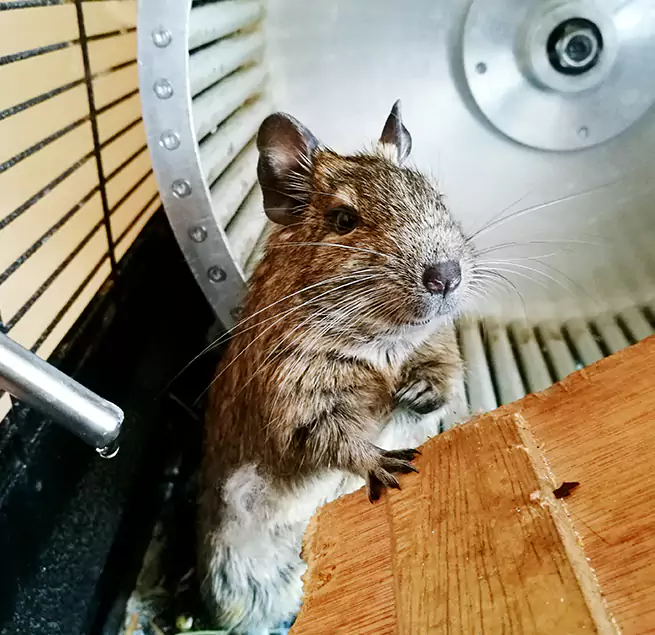 Why Homeowners & Businesses Trust Us Lexington, NC