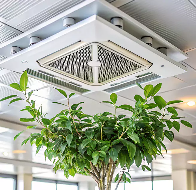 Why Homeowners & Businesses Trust Us in Lexington, NC