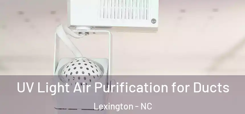  UV Light Air Purification for Ducts Lexington - NC